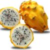 Dragon Fruit Yellow