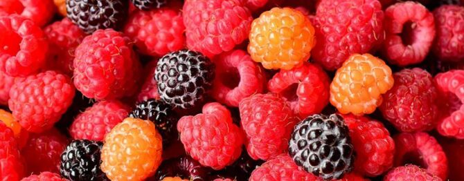 Raspberry Types