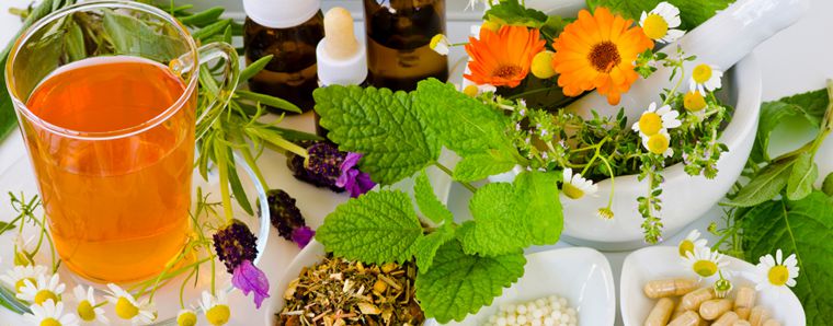 Making Herbal Preparations