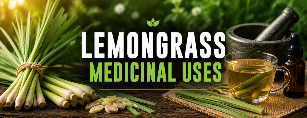 Lemongrass Medicinal Uses