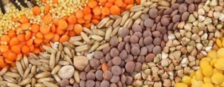 Seed Types Explained