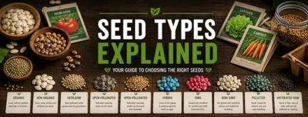 Seed Types Explained