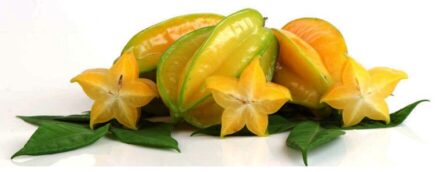 Growing Star Fruit Tree