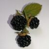 Blackberry