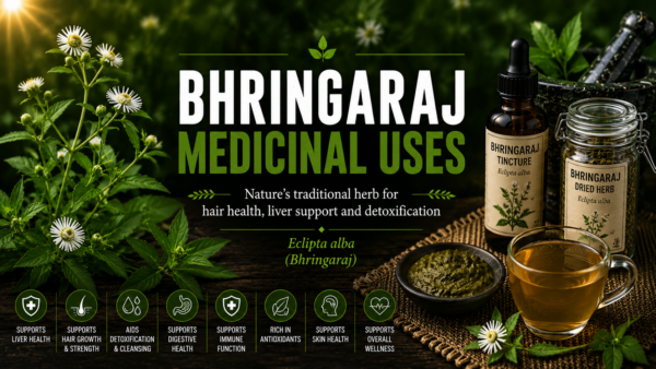 Bhringaraj Medicinal Uses