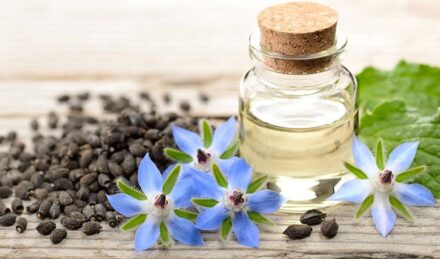 Borage Medicinal Uses
