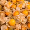 Giant Cape Gooseberry