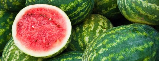 Growing Watermelon - Seeds and Plants