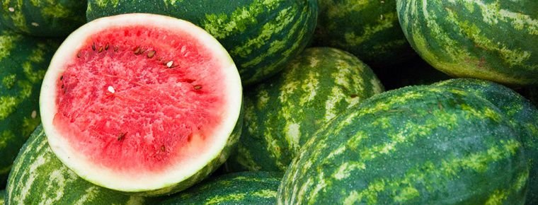 Growing Watermelon