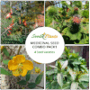 Medicinal Seed Combo Pack 1