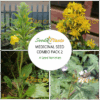 Medicinal Seed Combo Pack 2