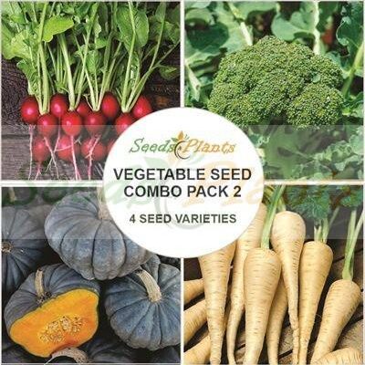 Vegetable Seed Combo Pack 2