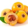 Loquat