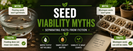 Seed Viability Myths